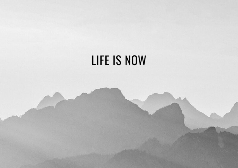 Life is NOW